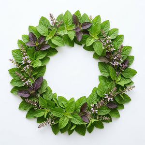Tulsi